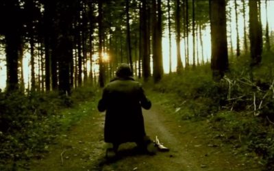Le Clip « A l&rsquo;Ombre des Saules » 2016